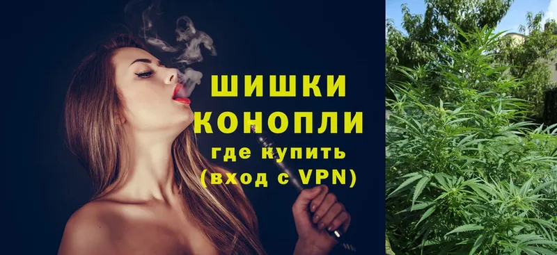 Бошки марихуана SATIVA & INDICA  как найти наркотики  Касимов 